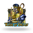 Rise of Dead